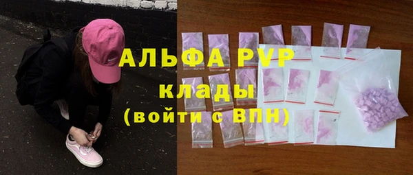 молекула духа Бородино