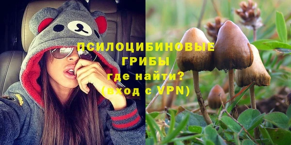 дурь Верхний Тагил