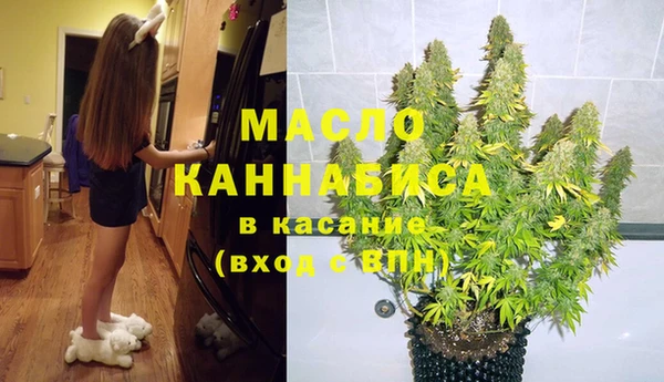 молекула духа Бородино