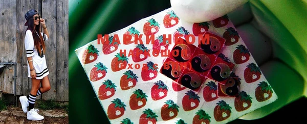 молекула духа Бородино