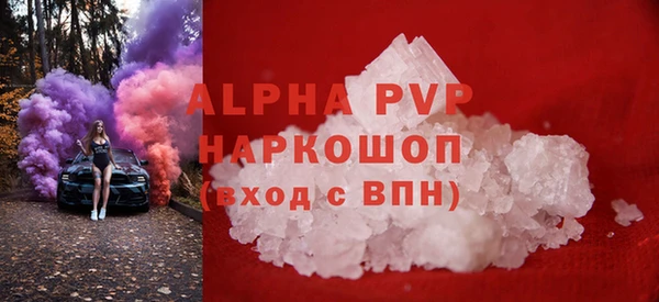 молекула духа Бородино