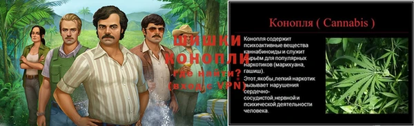 молекула духа Бородино